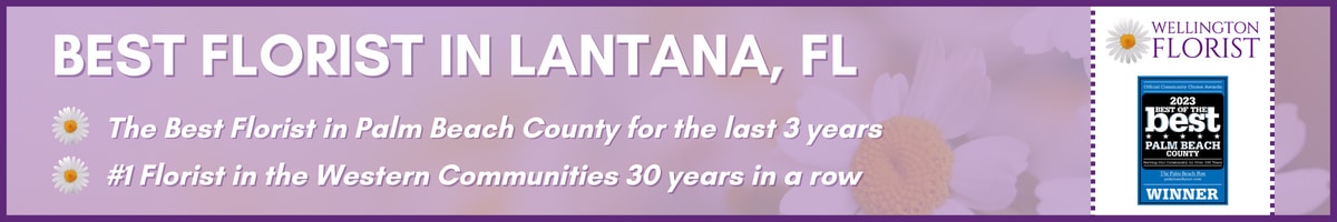 Best Florist in Lantana, FL